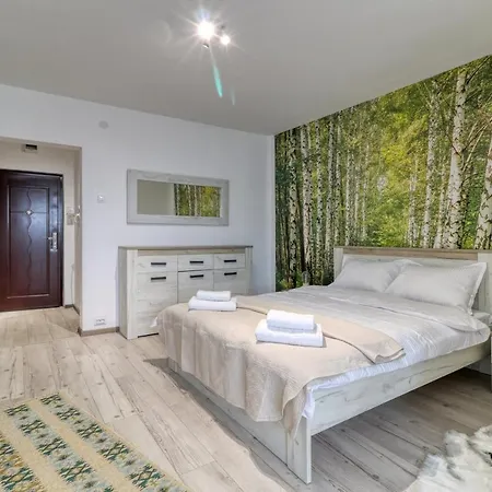 Park View Studio Бухарест