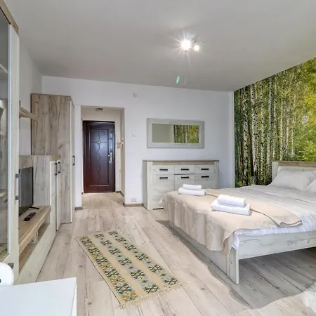 Park View Studio Апартаменты Бухарест